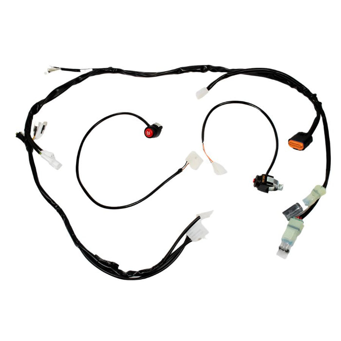 Beta 2-stroke (20-) Race Wire Loom