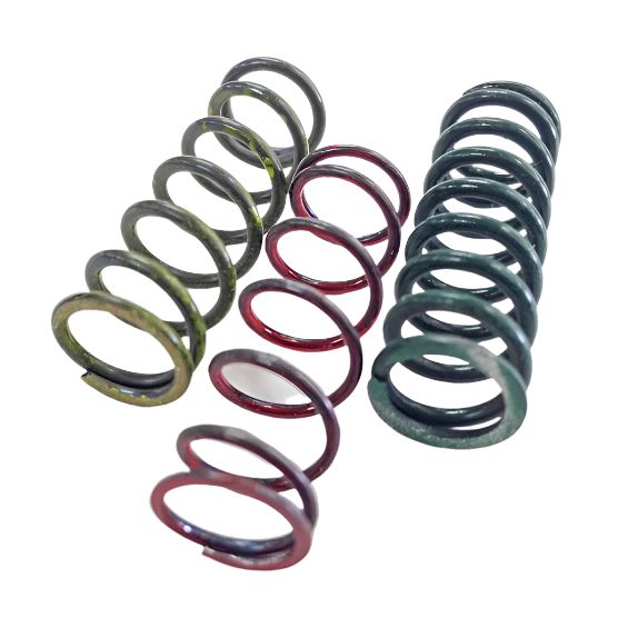 Beta 2-stroke Power Valve Spring Kit