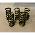 Beta 200RR Clutch Spring Set