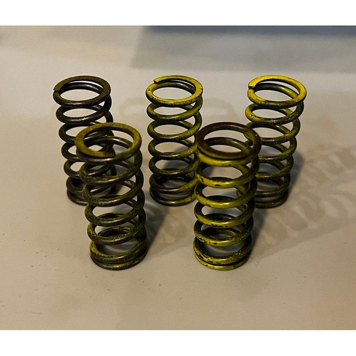 Beta 200RR Clutch Spring Set