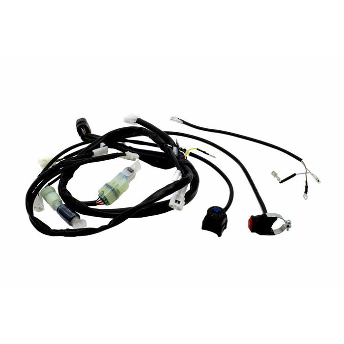Beta 300RR Race Edition (24-)|250RR Race (25-) Race Wire Loom