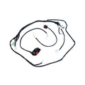 Beta 4-stroke (20-) Race Wire Loom