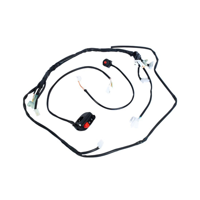 Beta 4-stroke (20-) Race Wire Loom