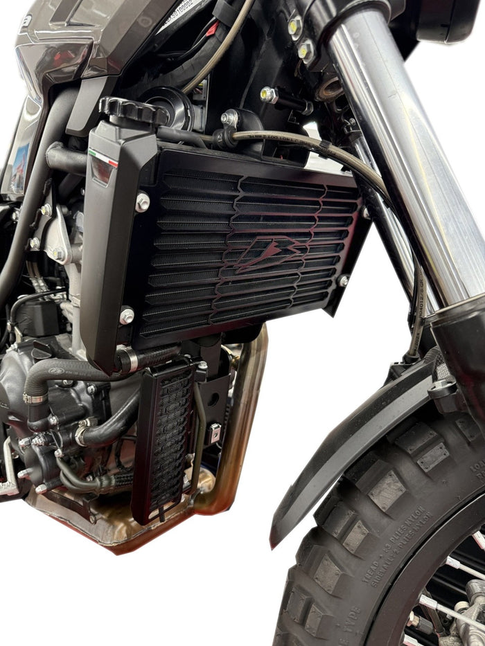 Beta Alp Radiator Guard
