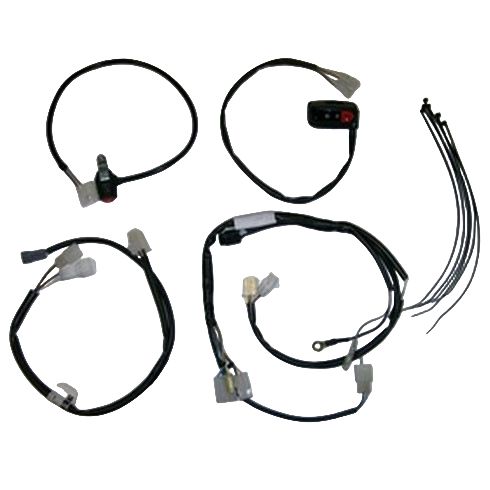 Beta EFI Race Wire Loom