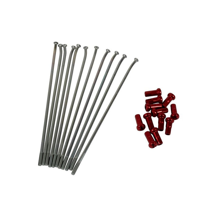 Beta Kite Spoke Kit Silver