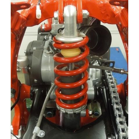 Beta Trial Evo Shock Spring