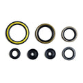 Cometic 300|250 Oil Seal Kit