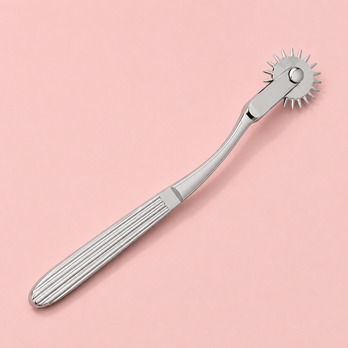 Couples Sensory Pinwheel – Stainless Steel Adult Toy | 18+