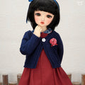 Dark Red Dress Set / Mini
