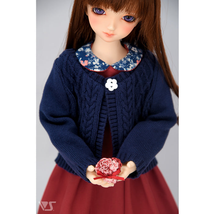 Dark Red Dress Set / Mini
