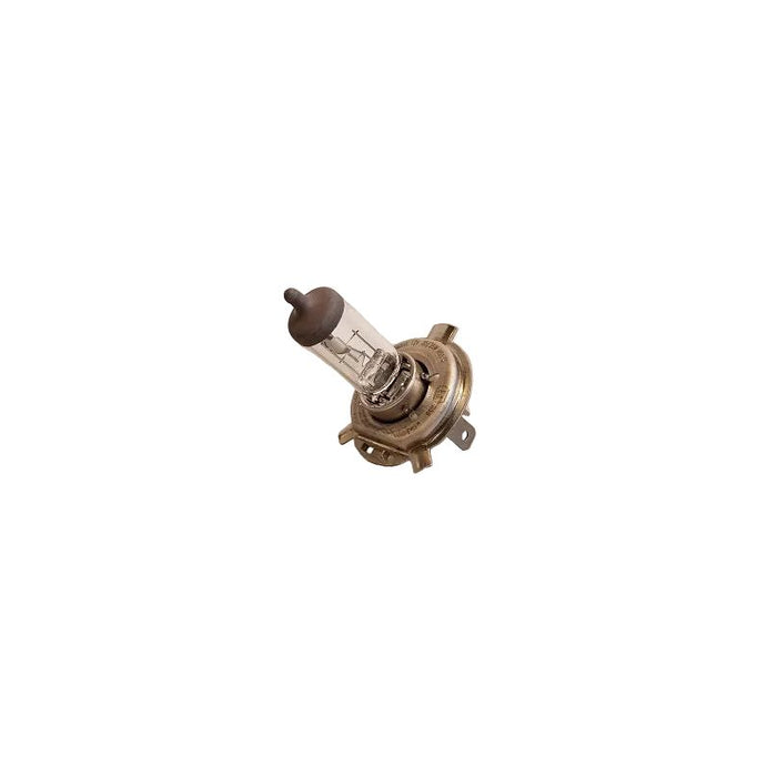 HS1 Bulb