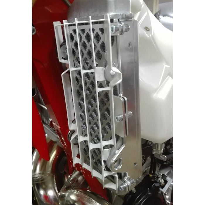 P-Tech Beta RR|RS|RR-S Radiator Guards