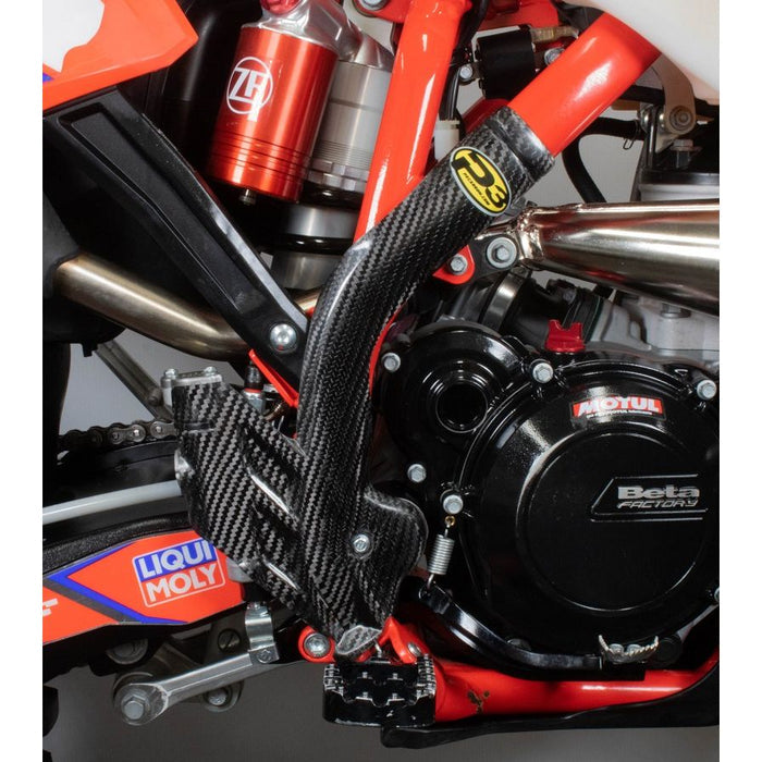P3 Beta RR|RR-S (20-23) CF Frame Guard Set