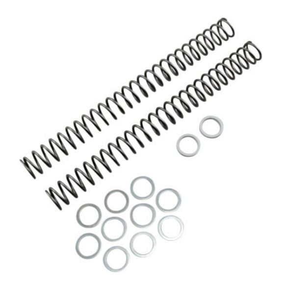 Race Tech Sachs Fork Springs